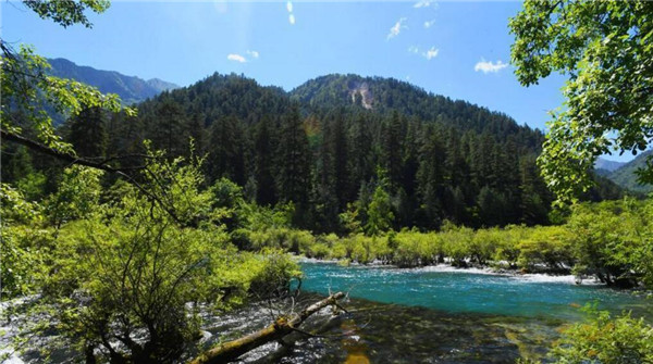 九寨溝景區(qū)震后重新“開門迎客” 暫不接待散客